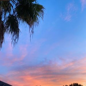 Meet your Posher, Abigail